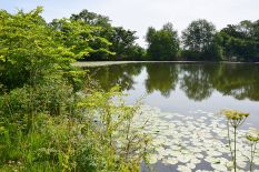 Le lac Le lac